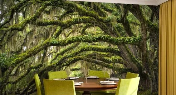 معلم موثوق لتركيب ورق جدران في جدة بجودة وكفاءة عالية